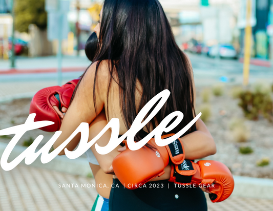 All Inclusive Tussle Boxing Retreat