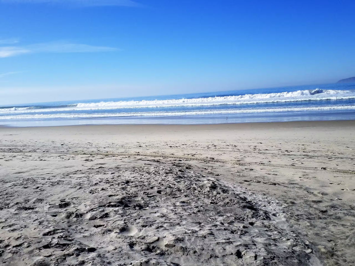All Inclusive Tussle Oceanside Boxing Retreat